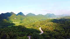 Cuc Phuong Jungle Paths 2022 – Giải chạy xuyên rừng có cự ly lên tới 70km