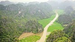 Cánh đồng lúa hình lá cờ hội "khổng lồ" đẹp như tranh ở Tam Cốc