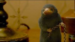 Loạt sinh vật huyền bí đổ bộ trong phần 3 của “Fantastic Beasts”
