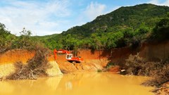 Về bài Xung quanh việc khai thác đất gần Di tích quốc gia Hố Bà Mùi (Phù Cát - Bình Định): Văn Hóa phản ánh, các cơ quan chức năng vào cuộc kiểm tra