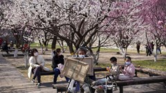 Du lịch Trung Quốc thiệt hại nghiêm trọng