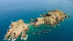 Cần có biện pháp bảo vệ rạn san hô Hòn Sẹo