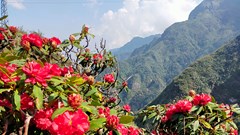 Nghỉ lễ 30.4: Mách bạn Lễ hội hoa lớn nhất Tây Bắc