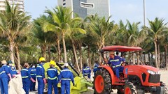 Hơn 600 người chung tay dọn sạch biển bãi biển du lịch