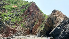 Tiếp bài “Cần có biện pháp bảo vệ rạn san hô Hòn Sẹo”: Kiểm tra, quan trắc san hô tại Hòn Sẹo
