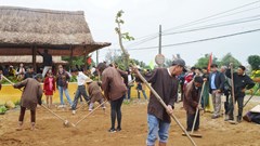 Khi làng trồng rau Trà Quế được vinh danh