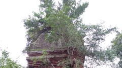 Di tích quốc gia tháp Bằng An xuống cấp trầm trọng