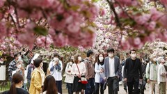 Du lịch toàn cầu sẽ phục hồi mạnh về mức trước đại dịch vào 2023