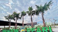 Long An: Dự án Khu dân cư Đức Hòa Đông cố tình quảng cáo sai sự thật, “thách thức” pháp luật