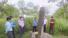 Hồi âm việc "hai tấm bia đá cổ bị trưng dụng làm tường rào và bỏ hoang"