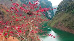 Hẻm Tu Sản, điểm đến không thể bỏ qua