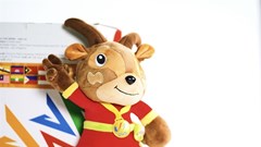 BTC SEA Games 31 kêu gọi cộng đồng tôn trọng và chung tay bảo vệ thương hiệu SEA Games 31