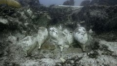 Pháp điều tra vụ xác tàu cổ 2.200 năm tuổi bị trộm 'ghé thăm'