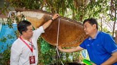 Xác lập hai kỷ lục “đặc sản” rừng U Minh