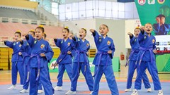 Đẩy mạnh võ Việt trong học đường