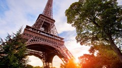 Pháp: Hàng chục nghìn người phản đối kế hoạch chặt cây gần tháp Eiffel