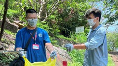 Sinh viên du lịch tham gia chiến dịch dọn rác