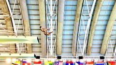 Nhảy cầu Việt Nam giành thêm HCĐ