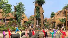 Phạt 15 triệu đồng đối với Công ty tổ chức cuộc thi Nữ hoàng Yoga Việt Nam