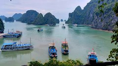 Việt Nam đến để yêu!