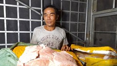 Quảng Trị liên tiếp bắt giữ hơn 7 tấn thực phẩm không rõ nguồn gốc