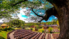 Hàn Quốc chính thức cấp visa du lịch cho du khách quốc tế từ 1.6