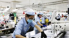 Bình đẳng giới trong việc làm