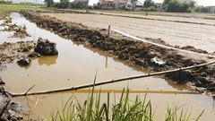 Bình Định: Một trẻ em tử vong do đuối nước vì rơi xuống hố sâu đang thi công