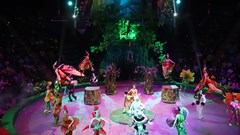 ''Chúa tể rừng xanh'' – Đưa giáo trình sách giáo khoa vào nghệ thuật xiếc