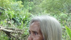 Những “cội lim” ở đại ngàn Trường Sơn