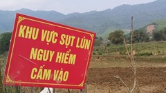 Nghệ An: Phê bình Sở NN&PTNT vì chậm tìm ra nguyên nhân gây ra “hố tử thần”