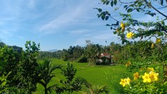 Quảng Nam: Phát triển du lịch xanh