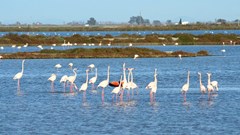 Sinh viên Việt Nam và Tây Ban Nha đề xuất giải pháp cho du lịch