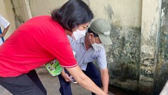 Bệnh sốt xuất huyết Dengue đang bùng phát mạnh