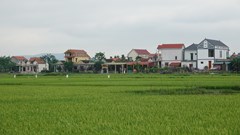 “Ốc đảo” trù phú giữa sông Gianh