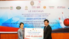 Hỗ trợ các hoạt động của thể thao người khuyết tật Việt Nam