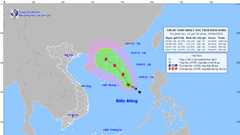 Chủ động ứng phó với áp thấp nhiệt đới có thể mạnh lên thành bão