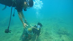 Để cho đáy biển mỗi ngày đẹp hơn