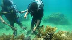 Để cho đáy biển mỗi ngày đẹp hơn