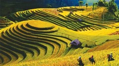 Yên Bái: Doanh thu từ hoạt động du lịch đạt 524,3 tỷ đồng