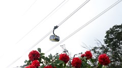 Giá vé cáp treo Fansipan ưu đãi riêng cho du khách 6 tỉnh Tây Bắc