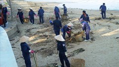 Khánh Hòa: Đẩy mạnh làm sạch môi trường biển, đảm bảo du khách tham quan