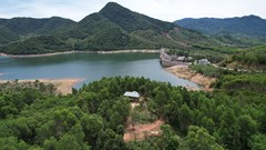 Ngang nhiên chiếm đất, xây dựng nhà sàn trái phép trên đất rừng phòng hộ để làm du lịch