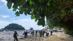 Quảng Ngãi: Ra quân thu gom, xử lý hơn 6 tấn rác ở bờ biển