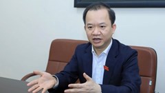 Bội thực "hoa hậu ao làng", trục lợi kinh doanh béo bở: Hệ lụy đến từ đâu?