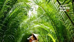 Visit Quảng Nam ra mắt video mới giới thiệu các điểm du lịch xanh