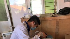 Hội nghị Công tác thanh niên ngành Y tế năm 2022