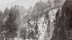 Sẽ khôi phục tuyến đường sắt Tháp Chàm - Đà Lạt