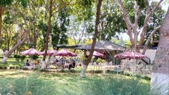 Ninh Thuận: Dân bức xúc vì công viên biến thành quán cà phê