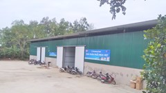 Phường cho thuê đất trái quy định, UBND TP Thanh Hóa phải hầu tòa